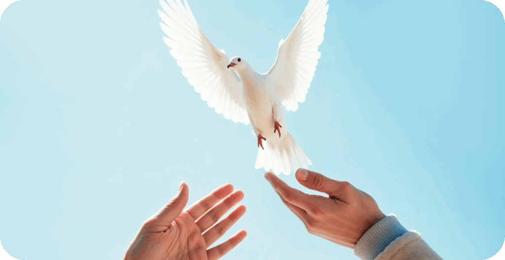 Peace - Roohani Ilaj Center