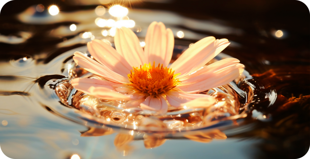 Stories of Prophetic Leadership in Islam: Lessons for Modern Life - Roohani Ilaj Center